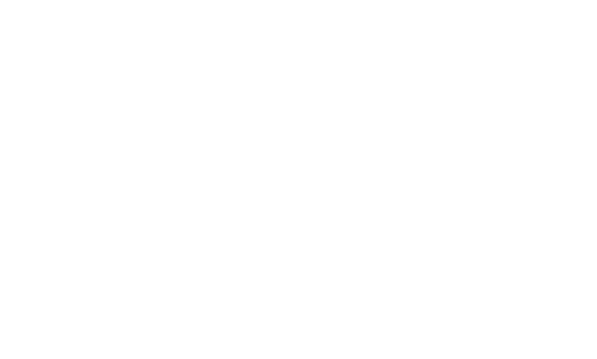 AMD Radeon™ Anti-Lag 2