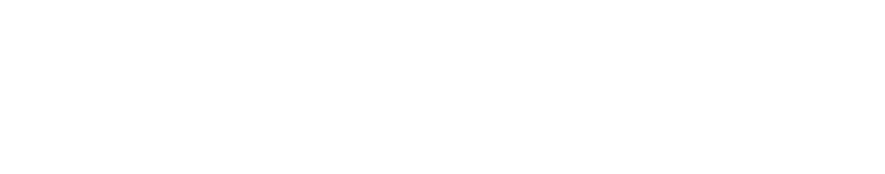 Dense Geometry Compression Format SDK
