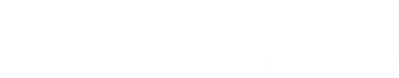 AMD Dense Geometry Format
