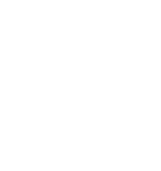 FSR 3 Optimized