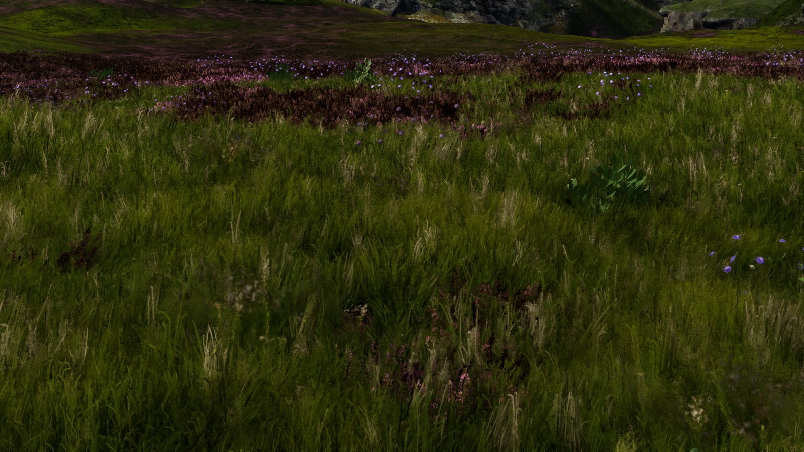 FSR 2.0.1