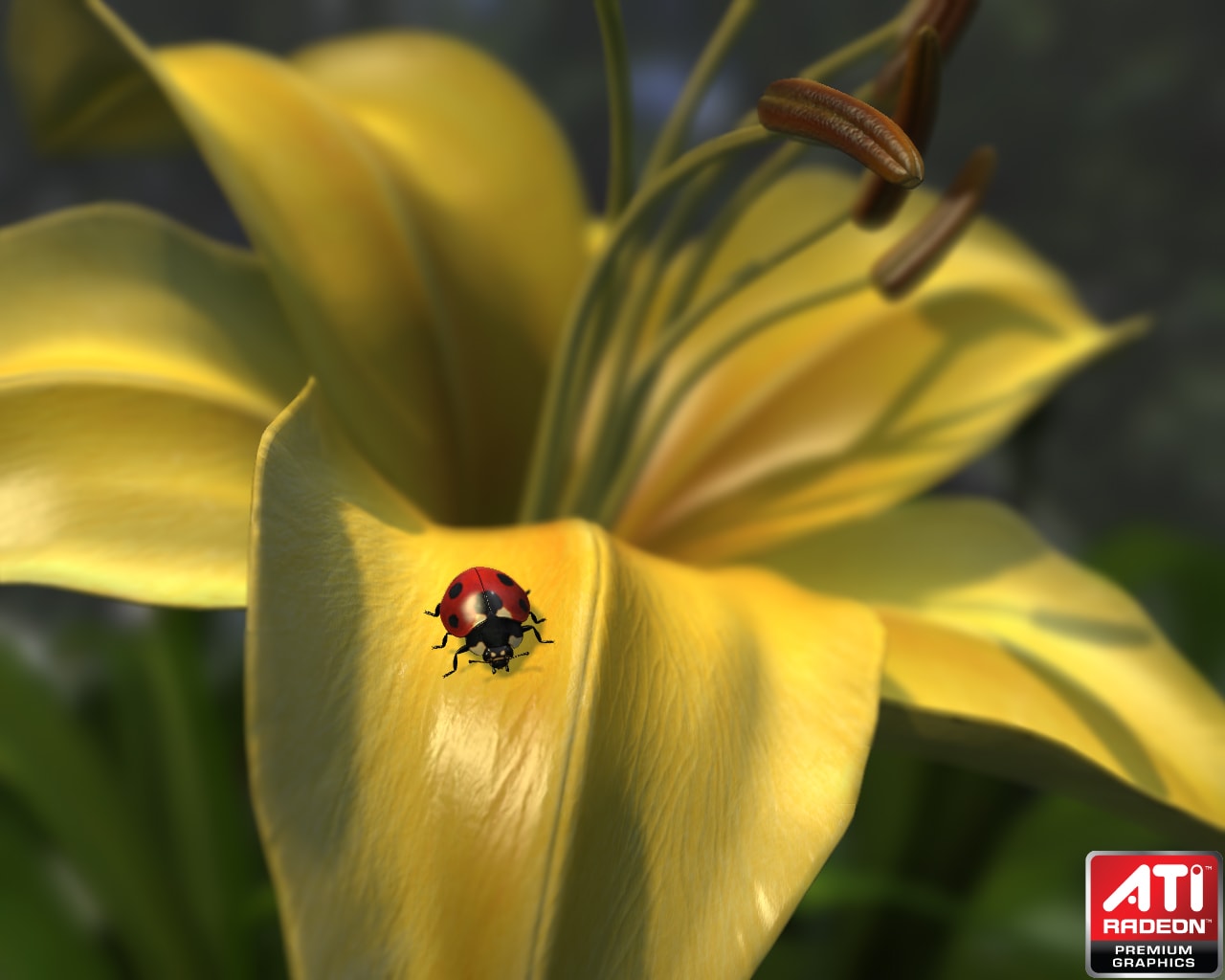 Radeon™ HD 5000 Series Graphics Real-Time Demos - Ladybug demo