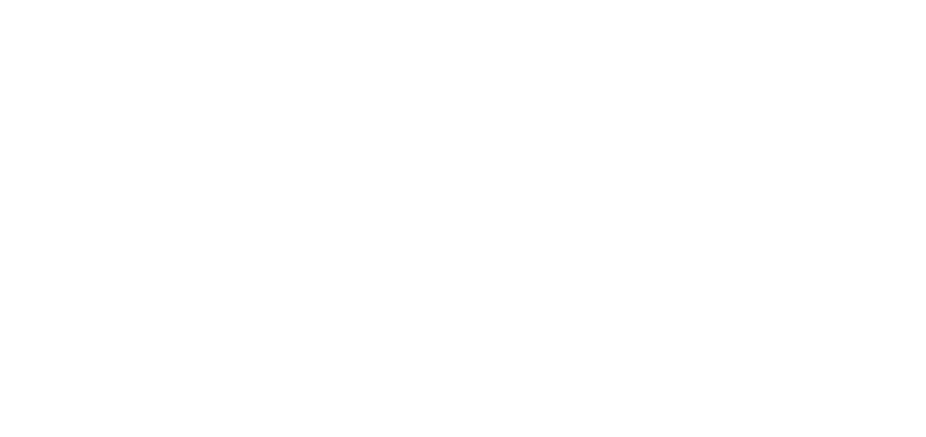 AMD Schola